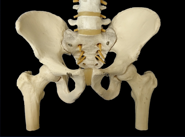 骨盤矯正の必要性と骨盤の歪みチェック